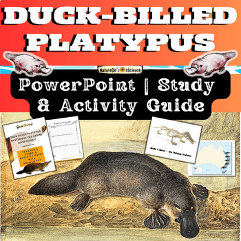 Preview of Platypus PowerPoint with Activity and Study Guide