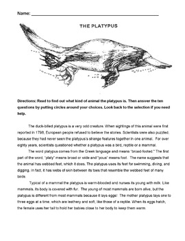 Preview of Animal Platypus Wksht Nonfiction Reading Science +10 Multiple Choice Comprehensi