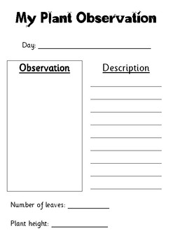 Plant Observation Sheet by Miss Pagana | Teachers Pay Teachers
