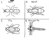Playdoh Insects Slideshow and Activity Sheets