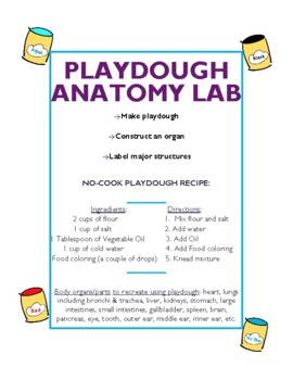 Preview of Playdough Anatomy Lab