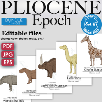 Preview of Pliocene Epoch Colorful Bundle: Camelops, Giraffa Sivalensis, Metridiochoerus