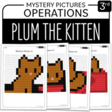 Plum the kitten Math Mystery Pictures Grade 3: Operations