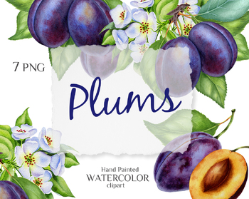 Preview of Plums with leaves and flowers