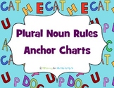 Plural Noun Rules Anchor Charts