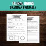 Plural Noun Grammar Printable | Middle School Worksheet | 