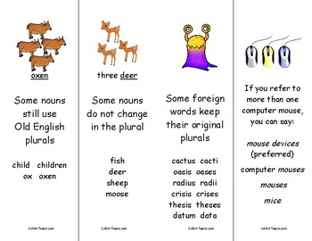 Plural Noun Rules Bookmarks By Creations By Lackert Tpt