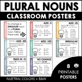 Plural Noun Spelling Rules Classroom Posters - s, es, ies,