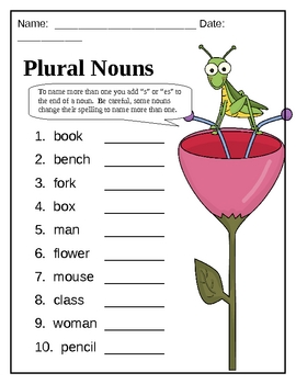 Plural Nouns by The Bright Apple | Teachers Pay Teachers