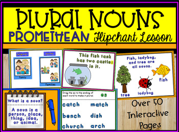 Preview of Plural Nouns ActivInspire Promethean Flipchart Lesson - over 50 pages!