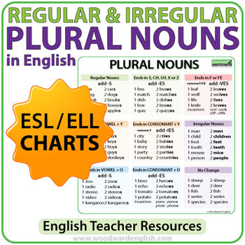 Preview of Plural Nouns Charts - Regular & Irregular Nouns in English