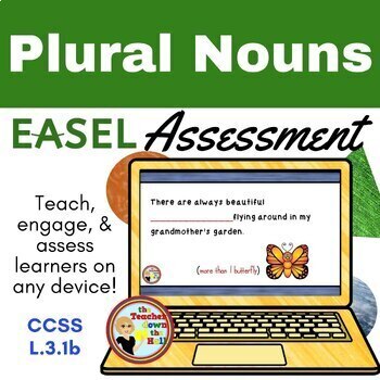 Preview of Plural Nouns Easel Assessment - Digital Plural Nouns Quiz