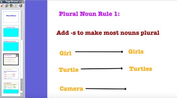 Preview of Plural Nouns Flip Chart