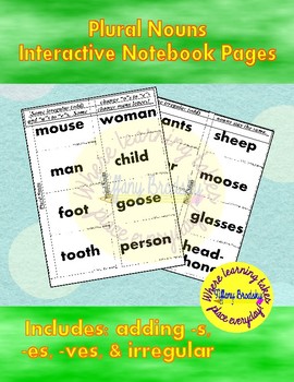 Preview of Plural Nouns Interactive Notebook