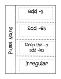 Plural Nouns Interactive Notebook Page