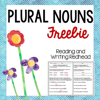 Preview of Plural Nouns Practice FREE