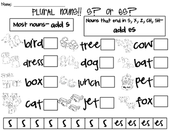 Plural Nouns: -S or -ES Cut & Paste! by Ashley Ann ...