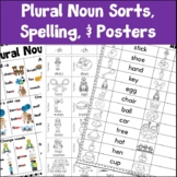 Plural Nouns Spelling and Sorting