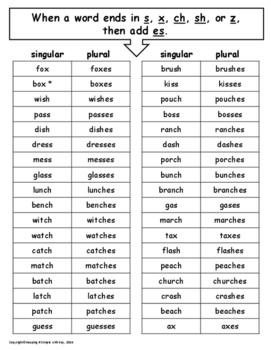 plural of the word essay