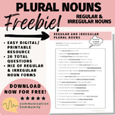 Plural Nouns Worksheet: Regular & Irregular Nouns FREEBIE