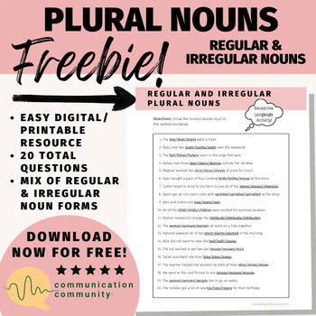 Preview of Plural Nouns Worksheet: Regular & Irregular Nouns FREEBIE