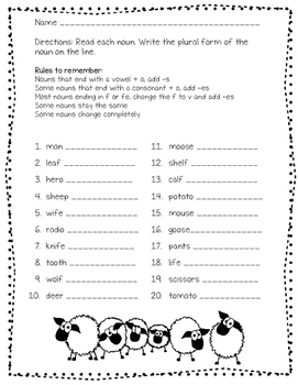 Irregular Plural Nouns Worksheet by Joanna Riley | TpT