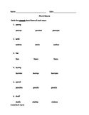Plural Nouns Worksheet or Quiz (1st, 2nd, or 3rd grade)