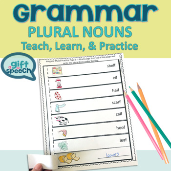 Preview of NO PREP Irregular & regular plural nouns a Teach, Learn, & Practice activity