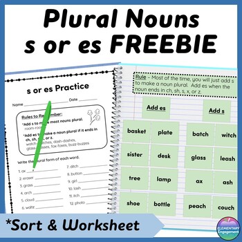 Preview of Plural Nouns s or es sort, foldable, and worksheet