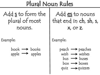 Plural -O Practice Making Plurals with -s, -es, -ies by iTeach 2nd