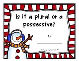 Plural Or Possessive Holiday Booklet