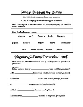 Possessive Nouns Worksheets 3rd Grade