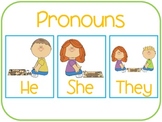 Plural Pronoun: They