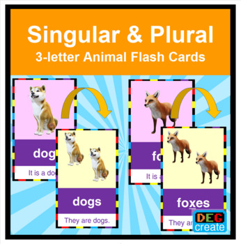 Plural & Singular Animal Flash Cards | 3-letter Words & CVC | Early Reading  ESL