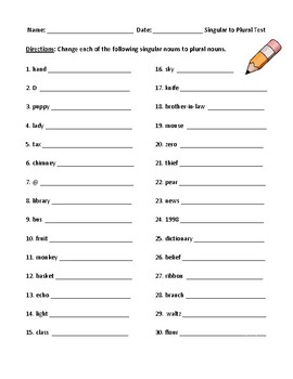 Preview of Plurals Test with Answer Key