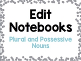 Plural and Possessive Nouns Grammar Practice