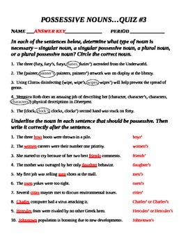 plural and possessive nouns quiz 3 by jill hotchkiss tpt