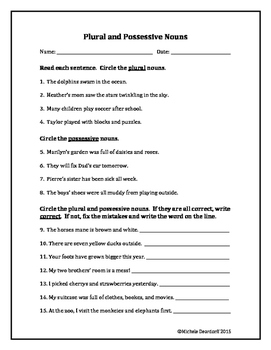 plural and possessive nouns test your skills by miss shell s class