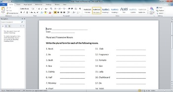 Preview of Plural and Possessive Worksheet