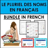 Plural of Nouns in French: Le Pluriel de Noms BUNDLE