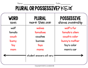 Plural or Possessive: A Poster and Worksheet by Love2bMrsB | TpT