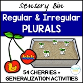Regular and Irregular Plural Nouns Speech Therapy Sensory Bin
