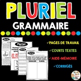 French Grammar Practice - Pluriel - grammaire - French Plu