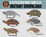 Png Land and Sea Turtles - Stylized Marine Life Clipart, A