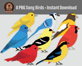 Png Song Birds Clipart, Hand Drawn Digital Animal Illustrations