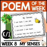 Poem of the Week Five Senses Kindergarten & 1st Grade Shar