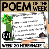 Poem of the Week HIBERNATION Kindergarten & 1st Grade Shar