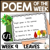 Poem of the Week LEAVES Kindergarten & 1st Grade Shared Re