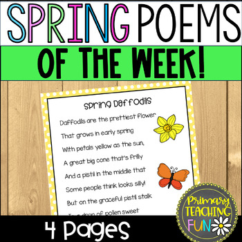 Spring Daffodils Poem of the Week Freebie with Comprehension Worksheets!