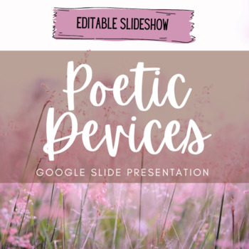 Preview of Poetic Devices Notes: Editable
